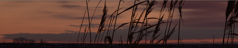 Scholarly Horizons: University of Minnesota, Morris Undergraduate Journal