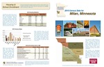 2010 Census Community Data Brochure- City of Milan