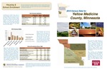2010 Census Community Data Brochure- Yellow Medicine County by Center for Small Towns (University of Minnesota, Morris) and Upper Minnesota Valley Regional Development Commission