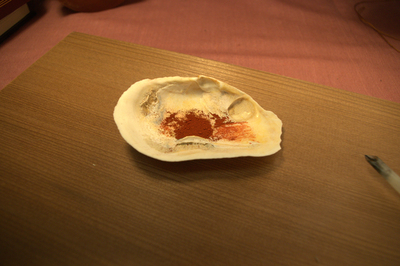 image preview