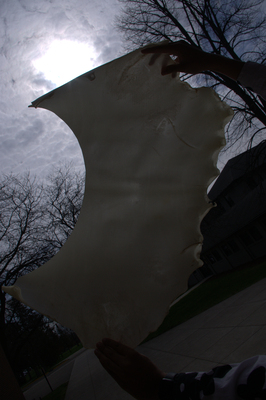 image preview