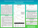 Chemical Analysis of Morris Water Pollutants via Electrochemical Detection Methods by Emily Miller