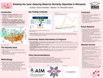 Breaking the Cycle: Reducing Maternal Mortality Disparities in Minnesota by Grace Hambike
